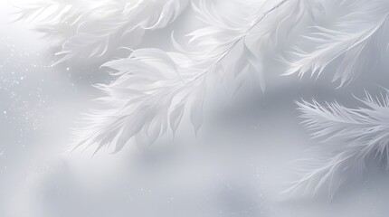 Obraz premium Delicate white feathers on a soft gray background evoking tranquility and elegance