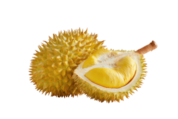 Prickly durian fruit, cut open, reveals yellow flesh