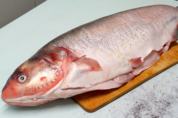 Cooking silver carp. cleaning ribs and blotting its insides with a napkin