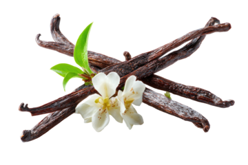 Vanilla beans, flower, and leaves, crossed on a dark background