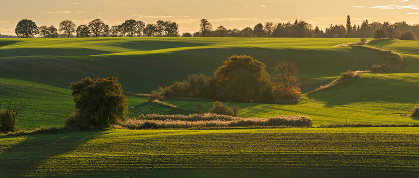 Intensely green fields contrasting with the autumn colors of trees in Brandenburg, Germany