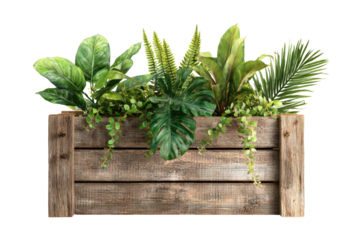 Planter Wood crate overflowing with lush, green foliage