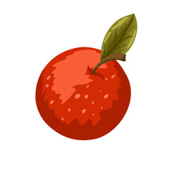 Whole ripe apple fruit with leaf. Vector hand drawn cartoon simple illustration for packaging design, menu, labels, branding, stickers, print