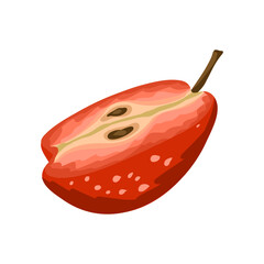 Half of a ripe apple fruit isolated on white. Vector hand drawn cartoon simple illustration for packaging design, menu, labels, branding, stickers, print