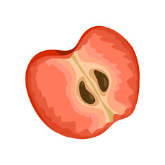 Slice of a ripe apple fruit isolated on white. Vector hand drawn cartoon simple illustration for packaging design, menu, labels, branding, stickers, print