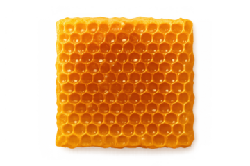 Fresh honeycomb close-up showing hexagonal cells filled with golden honey on a transparent background, natural sweet food
