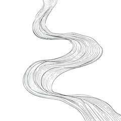Elegant Flowing Curved Lines Artwork