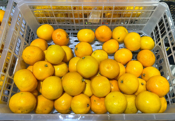 Background. Yellow tangerines in a plastic box in a store or market. Citrus fruits.