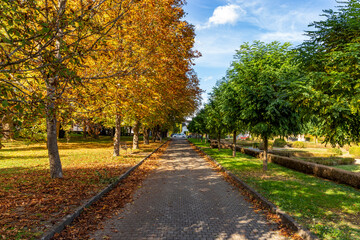 City park in Banja Koviljaca on a bright autumn day, Serbia