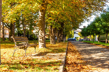 City park in Banja Koviljaca on a bright autumn day, Serbia