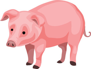 Pig, domestic farm animal illustration