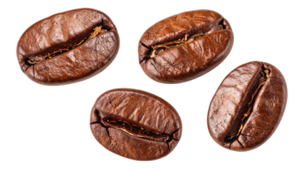 Four glossy brown coffee beans against a stark black background