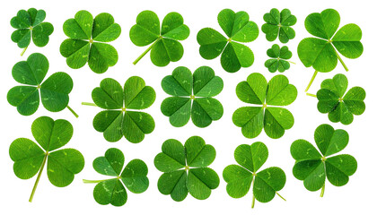 Green shamrock and four-leaf clover pattern on a black background