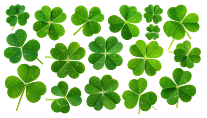 Green shamrock and four-leaf clover pattern on a black background