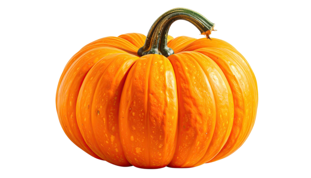 Single orange pumpkin with a curled stem