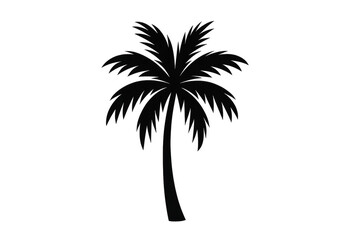 Obraz premium Palm tree silhouette vector with transparent background