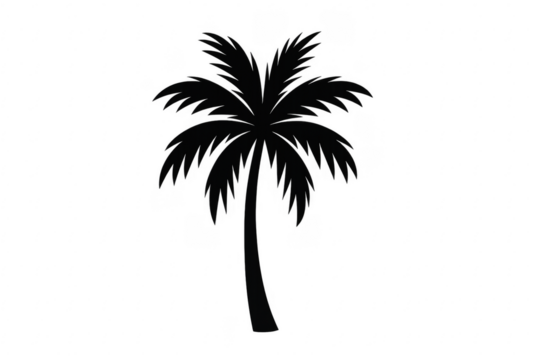 Palm tree silhouette vector with transparent background