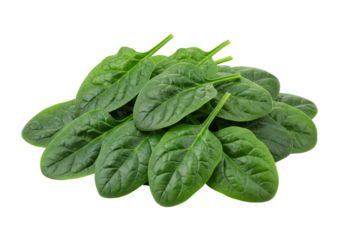 Isolated raw spinach leaves, fresh baby spinach salad ingredient, leafy vegetable crop