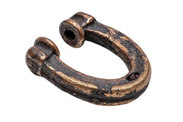 Obraz premium Aged bronze 