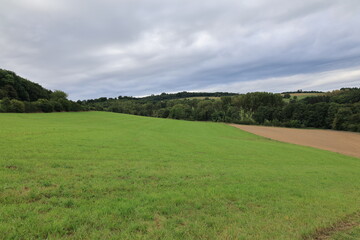 Herbst bei Kloster Oelinghausen Arnsberger Wald