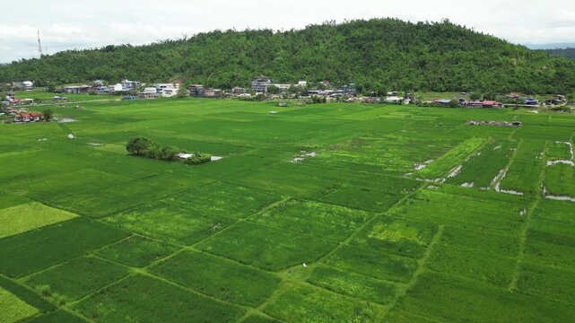 Wide aerial footage captures vibrant Philippine farmland in geometric plots, with scattered homes at the base of misty forested hills in a lush, well-managed rural landscape.