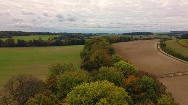 Slow low treetop forward flight over Autumn woodland with golden Autumn trees between harvested fields towards rolling English countryside in the Southdowns National Park with interesting sky