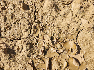 Soil sampling used for planting.
