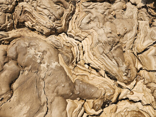 Soil sampling used for planting.