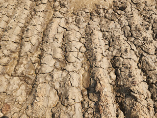 Soil sampling used for planting.