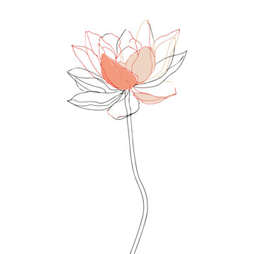 Elegant One-Liner Lotus Flower Vector Illustration
