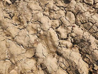 Soil sampling used for planting.