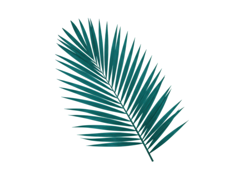 Isolated green frond of a palm tree against a seamless backdrop, suitable for creative designs - Powered by Adobe