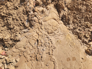 Soil sampling used for planting.