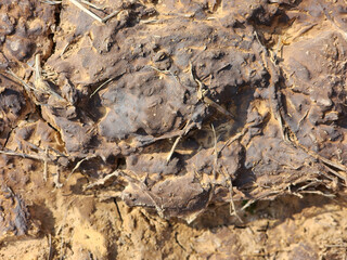 Soil sampling used for planting.