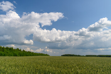 A Beautiful Serene Landscape Depicting Lush Green Fields Framed by Dramatic Skies Above