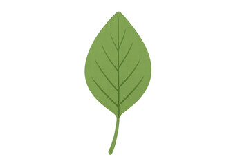 Obraz premium Green plant leaf illustration with transparent background
