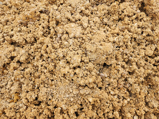 Soil sampling used for planting.