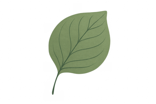 Green leaf plant botanical biology illustration with texture