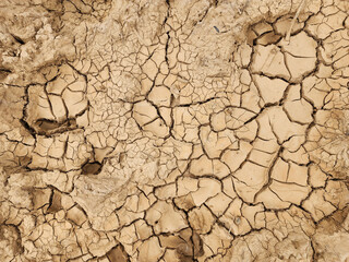 Soil sampling used for planting.