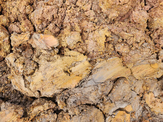 Soil sampling used for planting.