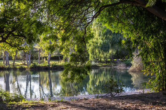 Parque en d&iacute;a soleado