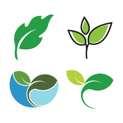 Green leaf ecology nature element