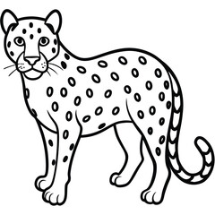 vector illustration of a leopard