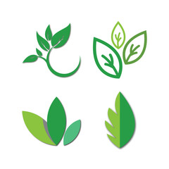 Green leaf ecology nature element