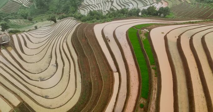 Hmong farmers prepare their fields and plant rice on terraced fields in Mu Cang Chai, Yen Bai. Photo taken in Yen Bai on June 22, 2025.	