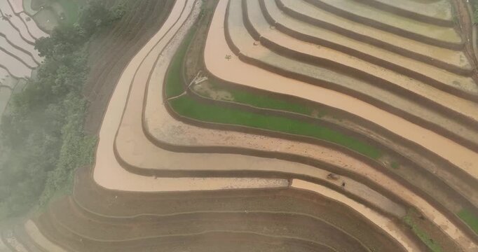 Hmong farmers prepare their fields and plant rice on terraced fields in Mu Cang Chai, Yen Bai. Photo taken in Yen Bai on June 22, 2025.	