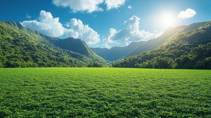 Obraz premium Lush valley meadow under a vibrant sky, mountains in background