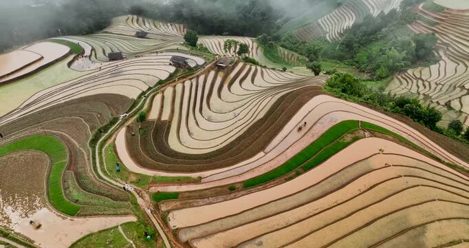 Hmong farmers prepare their fields and plant rice on terraced fields in Mu Cang Chai, Yen Bai. Photo taken in Yen Bai on June 22, 2025.	