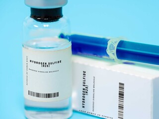 Hydrogen sulfide (H2S)