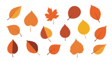 Obraz premium Vibrant autumn leaves in various shapes and warm colors, scattered on a white background, symbolizing the beauty of the fall season.